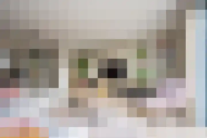 Kreek 5 Nijkerk thumbnail 5