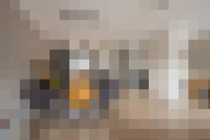Kreek 5 Nijkerk thumbnail 6