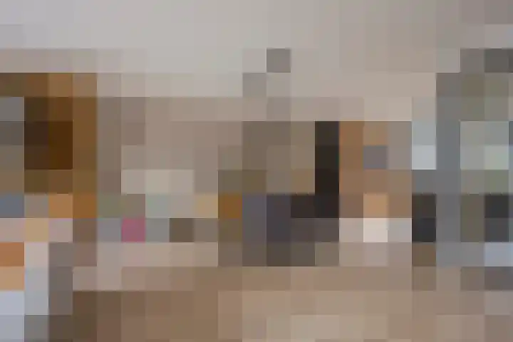 Kreek 5 Nijkerk thumbnail 7