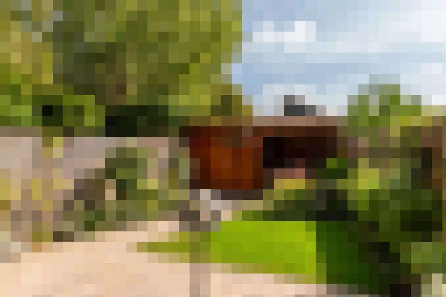 Kreek 55 Lelystad thumbnail 26