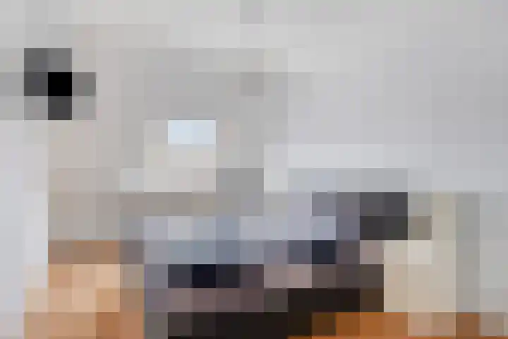 Kreeke 5 Bergen op Zoom thumbnail 12