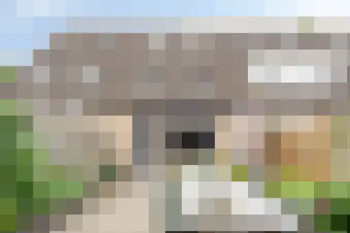 Kreeke 5 Bergen op Zoom thumbnail 23