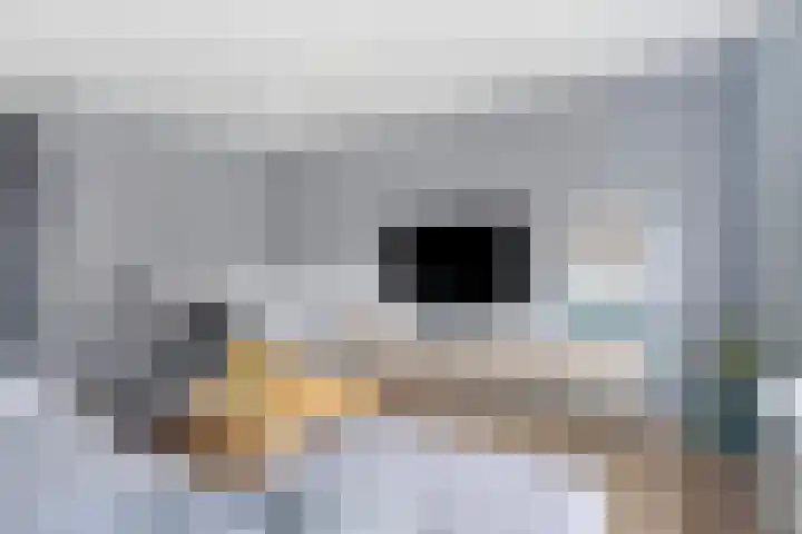 Kreeke 5 Bergen op Zoom thumbnail 4