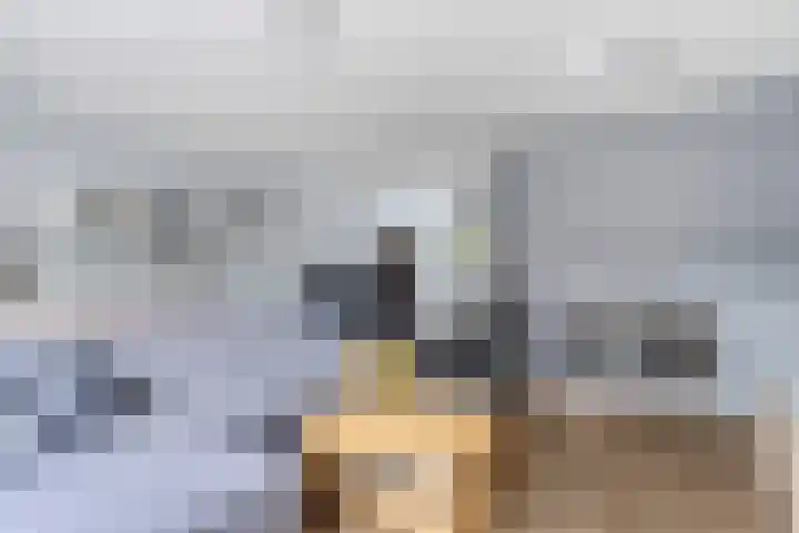 Kreeke 5 Bergen op Zoom thumbnail 5