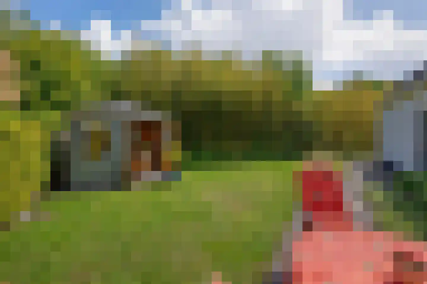 Kreeke 7 Dirksland thumbnail 10