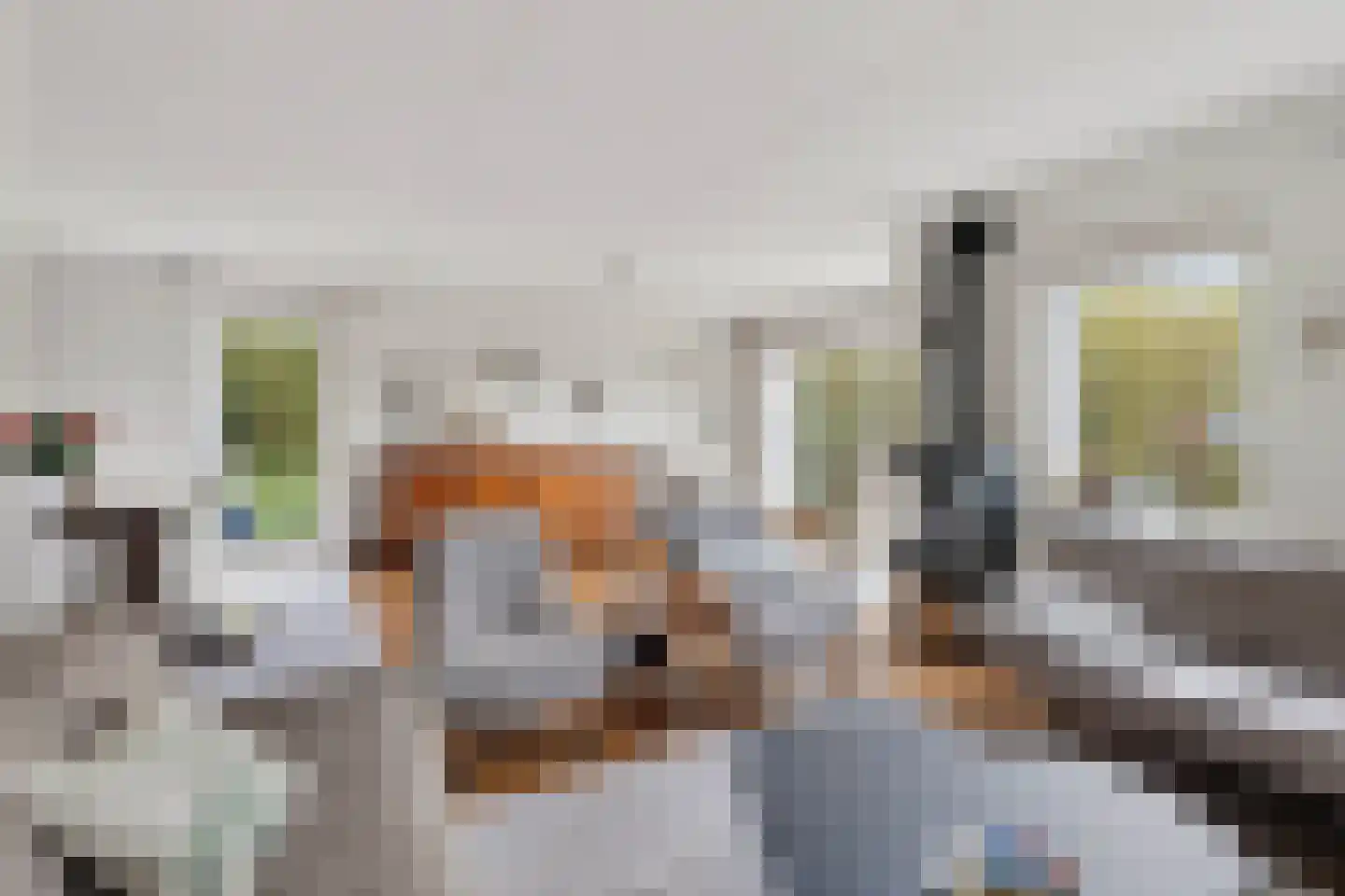 Kreeke 7 Dirksland thumbnail 14