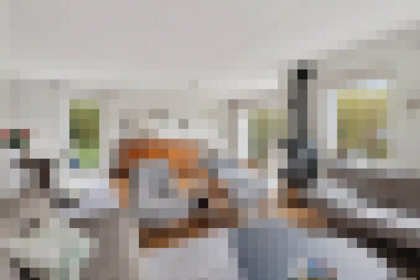 Kreeke 7 Dirksland thumbnail 22