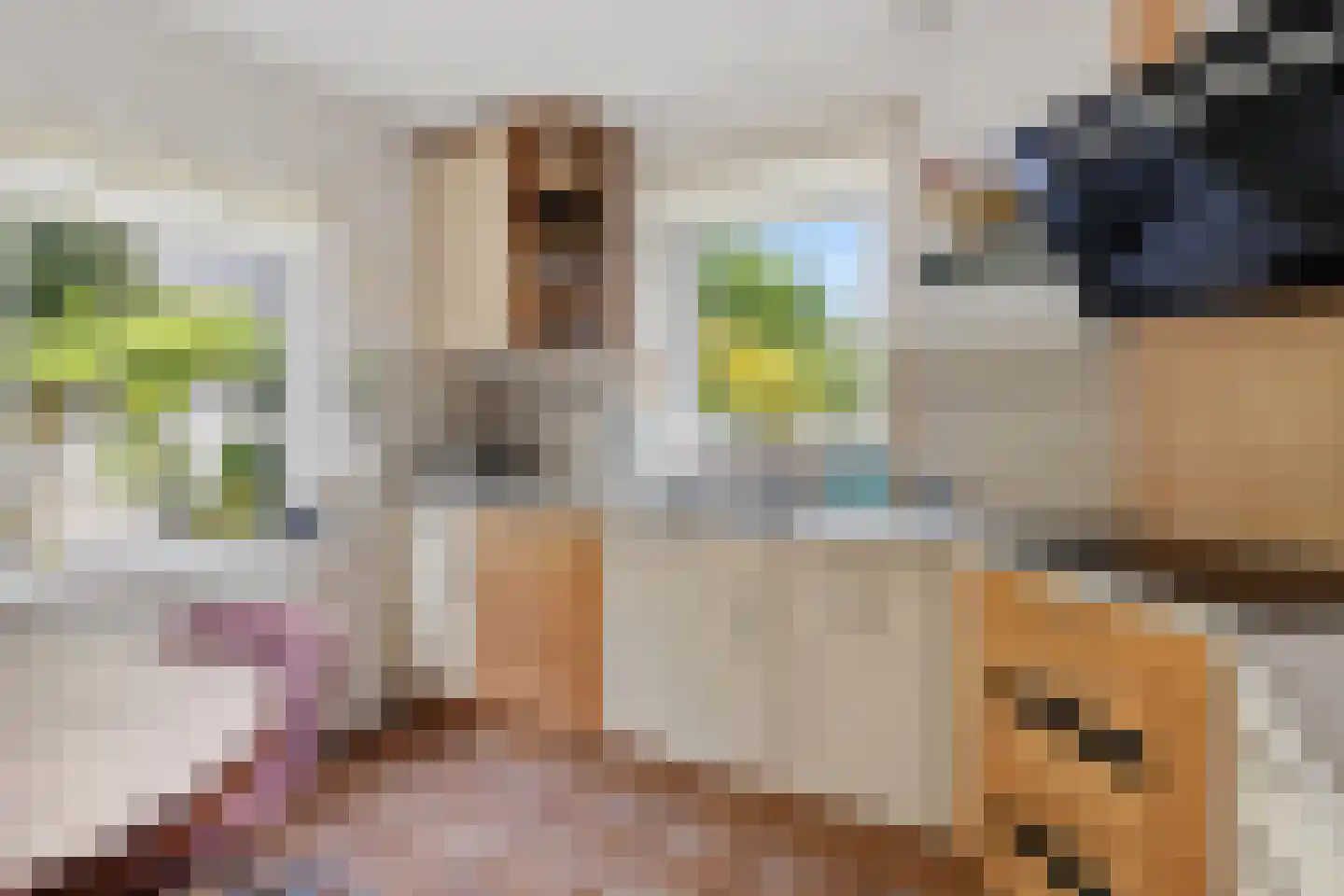 Kreeke 7 Dirksland thumbnail 22