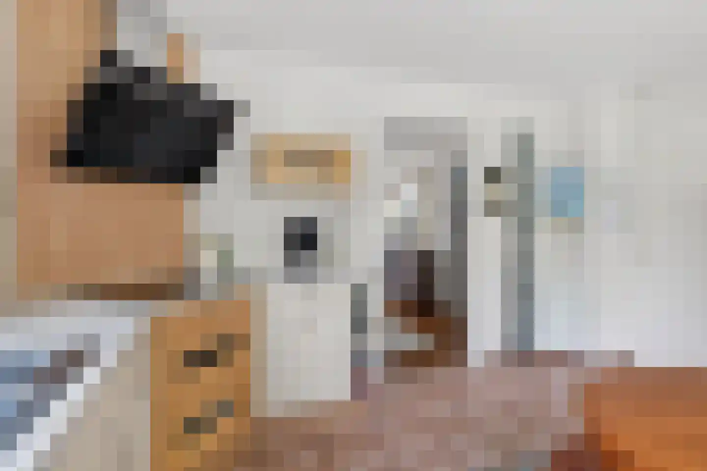 Kreeke 7 Dirksland thumbnail 24