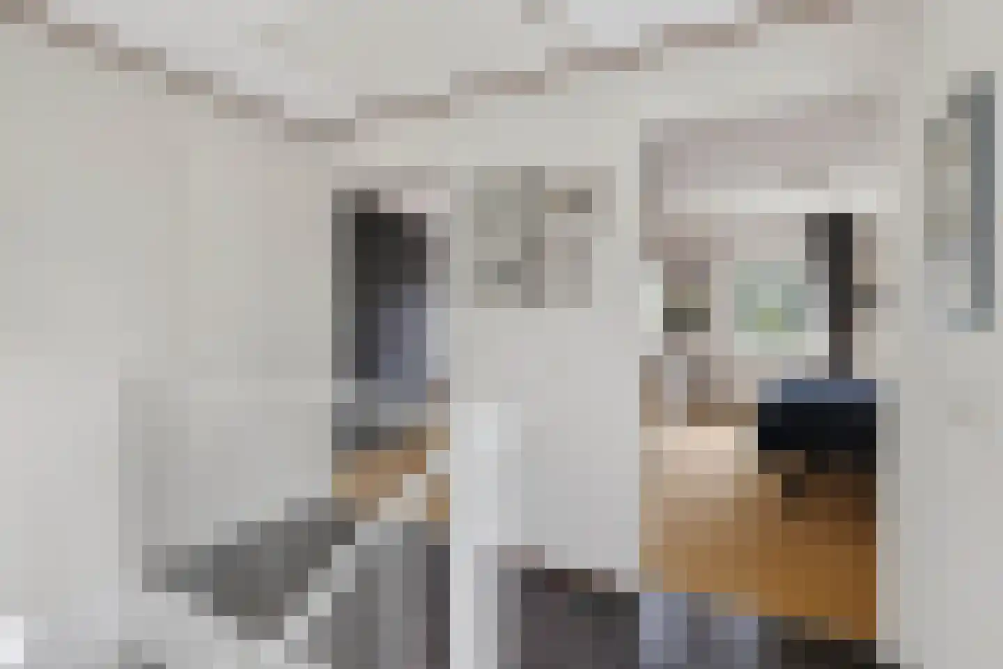 Kreeke 7 Dirksland thumbnail 26