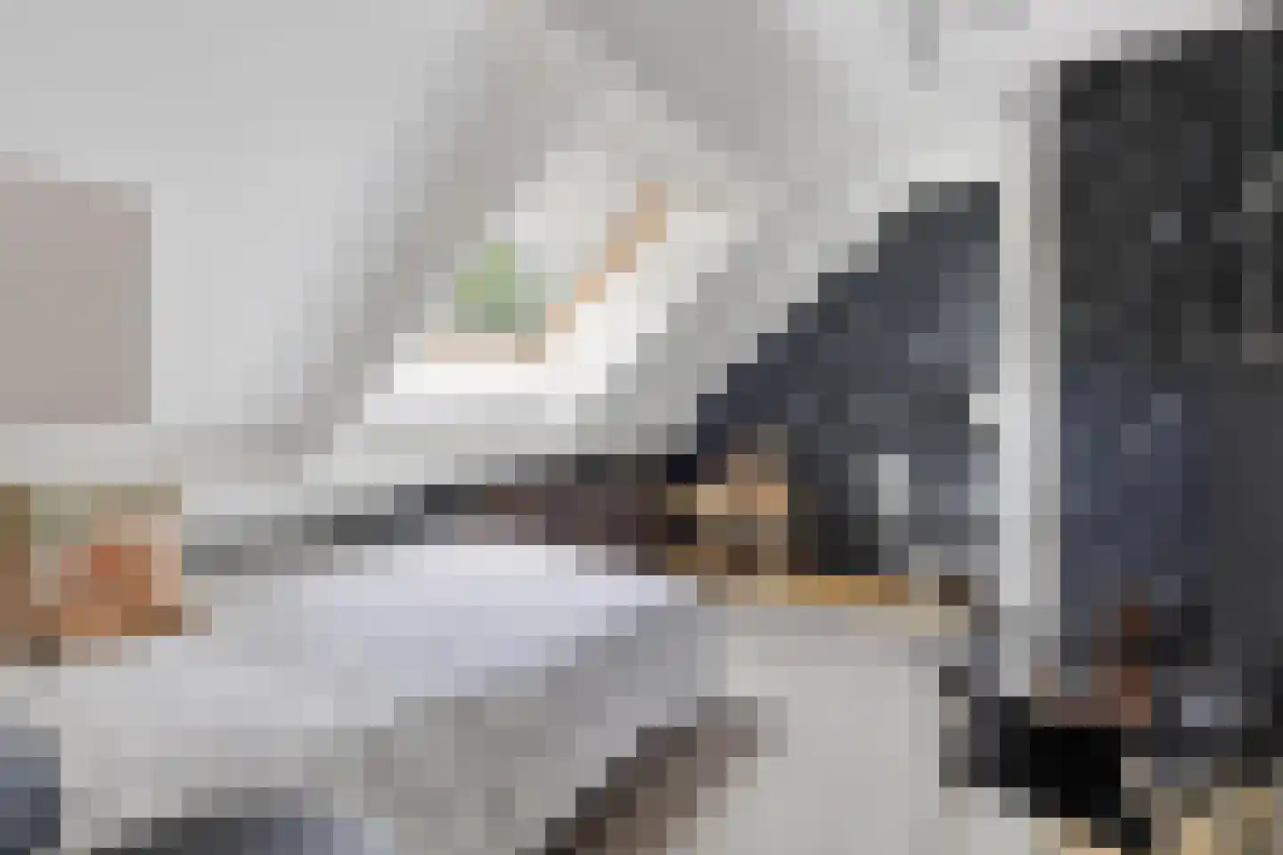 Kreeke 7 Dirksland thumbnail 31
