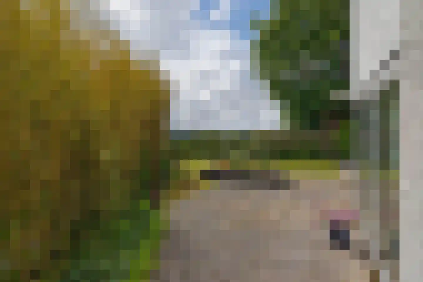 Kreeke 7 Dirksland thumbnail 42