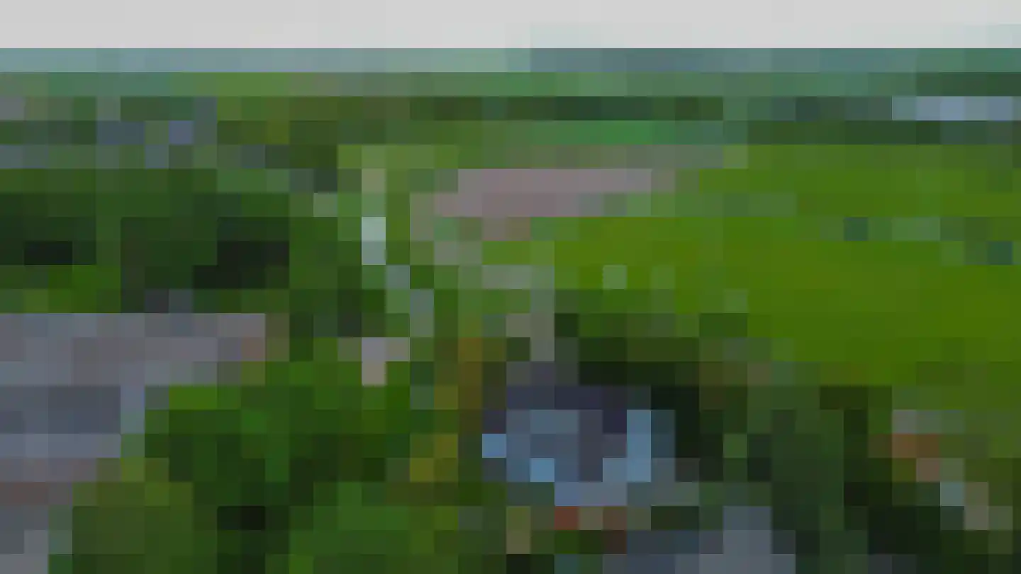 Kreeke 7 Dirksland thumbnail 47