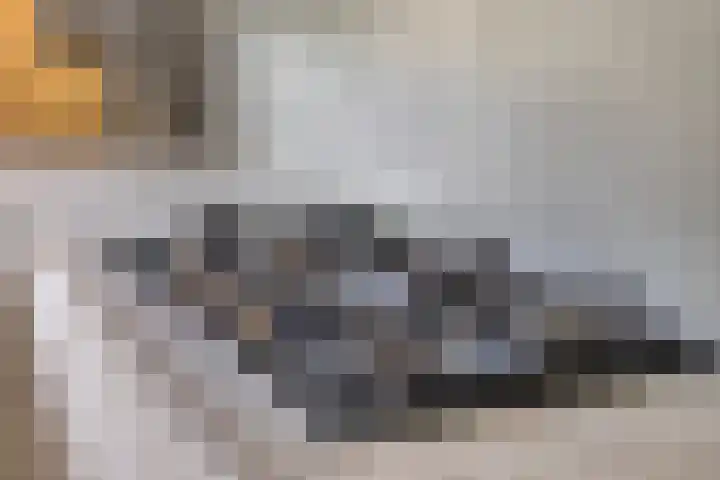 Kreeke 8 Bergen op Zoom thumbnail 15