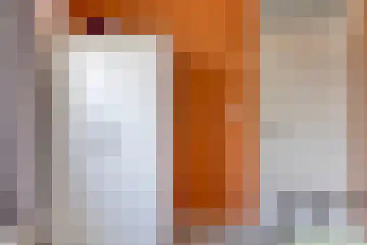 Kreeke 8 Bergen op Zoom thumbnail 20
