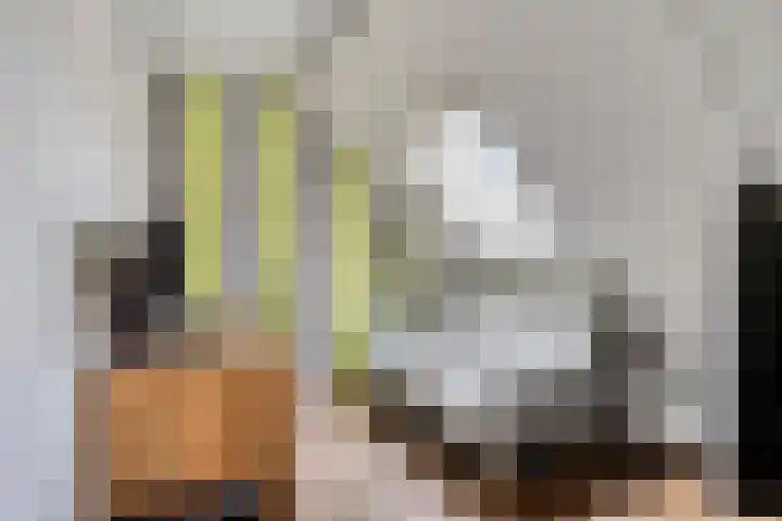 Kreeke 8 Bergen op Zoom thumbnail 27