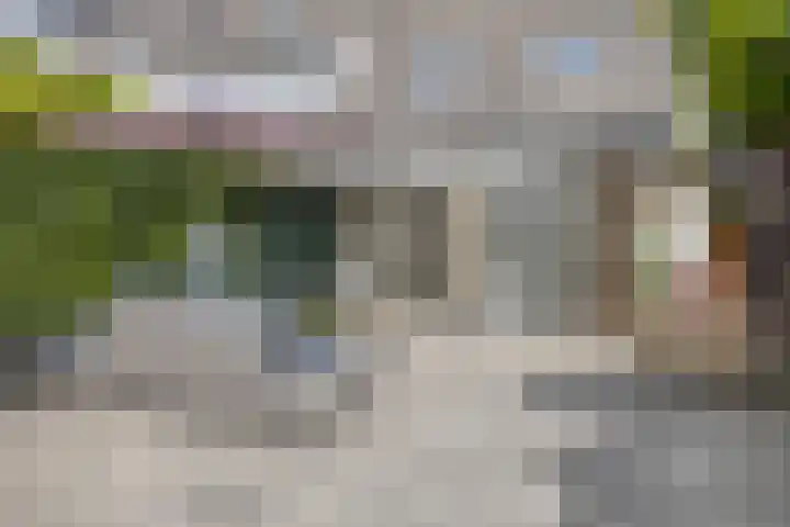 Kreeke 8 Bergen op Zoom thumbnail 30