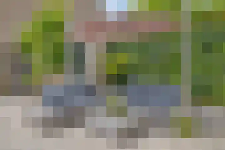 Kreeke 8 Bergen op Zoom thumbnail 31
