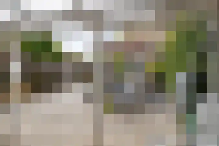 Kreeke 8 Bergen op Zoom thumbnail 34