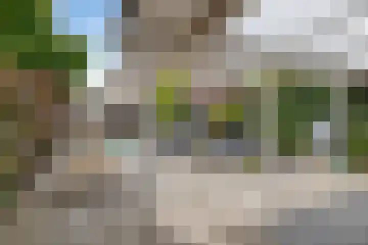 Kreeke 8 Bergen op Zoom thumbnail 35