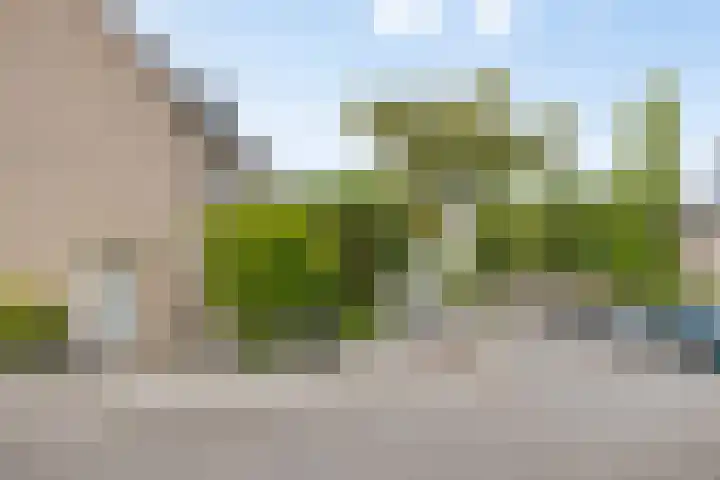 Kreeke 8 Bergen op Zoom thumbnail 36