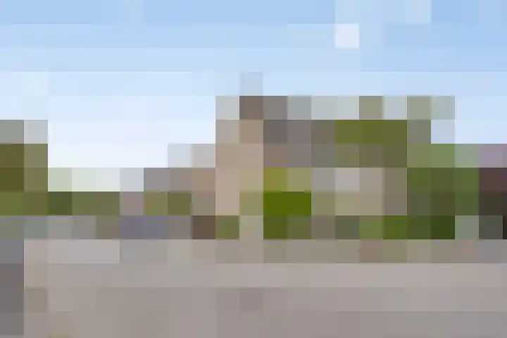 Kreeke 8 Bergen op Zoom thumbnail 39
