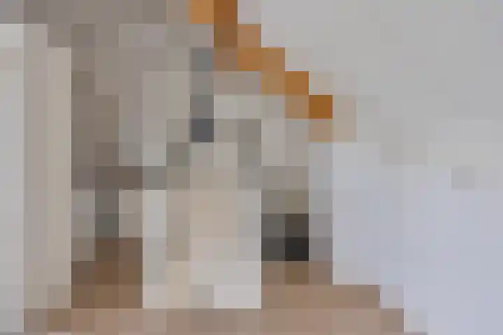 Kreekeind 12 Best thumbnail 38