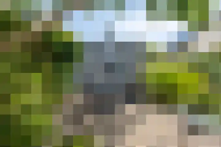 Kreekeind 12 Best thumbnail 44