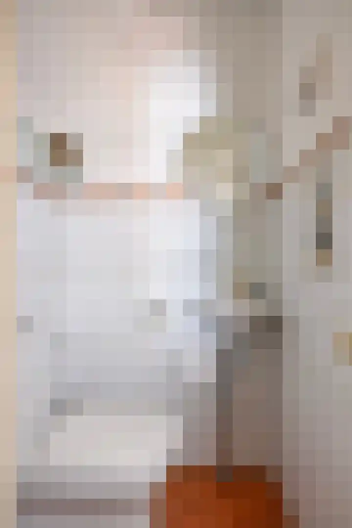 Kreekeind 12 Best thumbnail 7