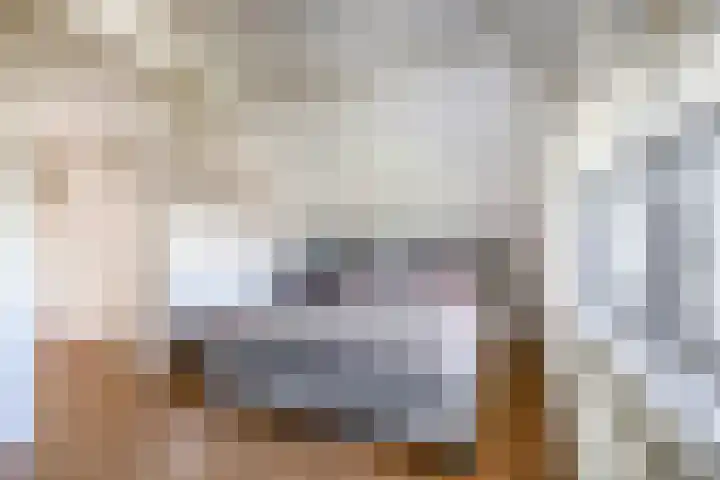 Kreeklaan 5 Middelharnis thumbnail 14