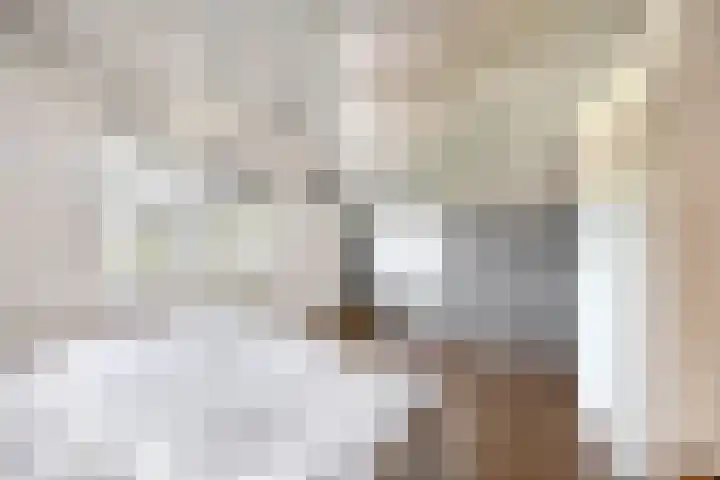 Kreeklaan 5 Middelharnis thumbnail 15