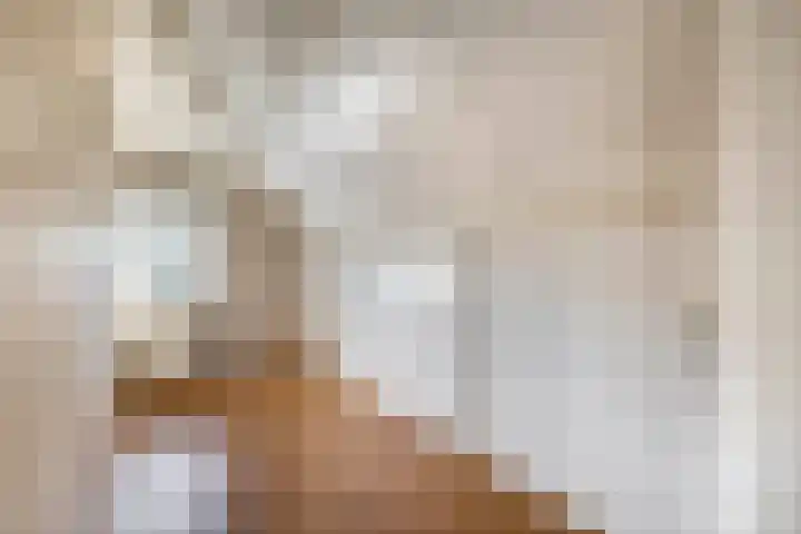 Kreeklaan 5 Middelharnis thumbnail 18