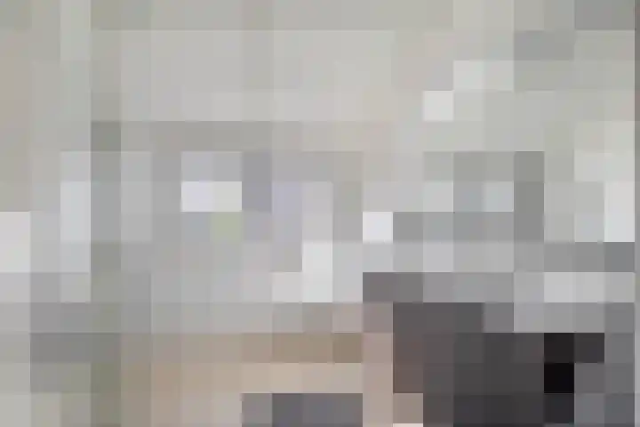 Kreeklaan 5 Middelharnis thumbnail 19
