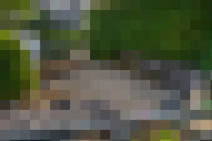 Kreeklaan 5 Middelharnis thumbnail 25