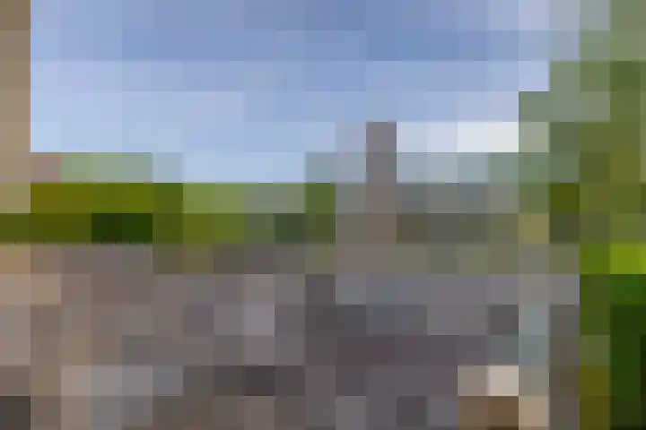 Kreeklaan 5 Middelharnis thumbnail 26