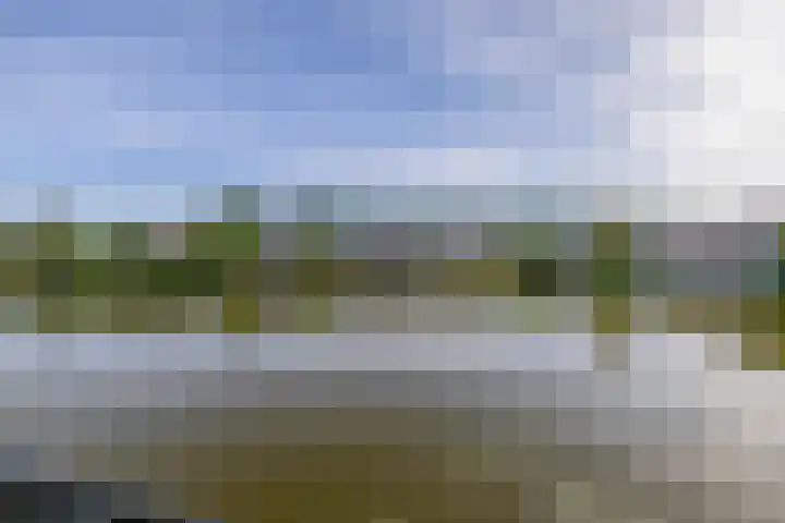 Kreeklaan 5 Middelharnis thumbnail 27