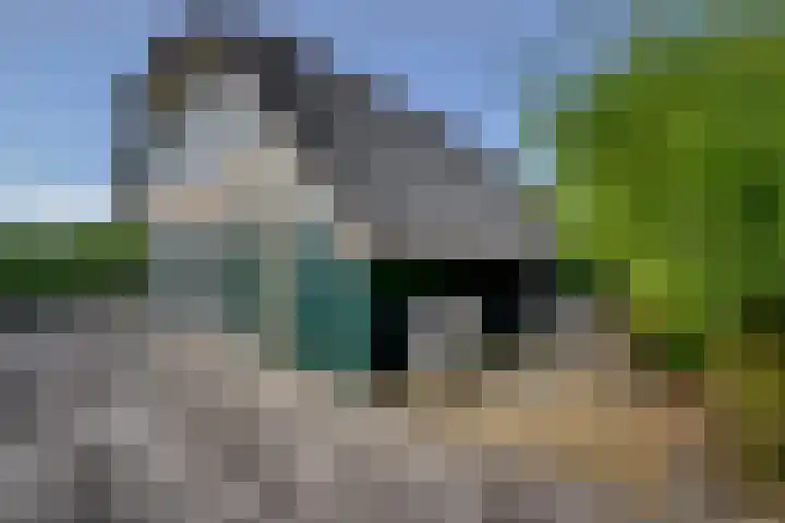 Kreeklaan 5 Middelharnis thumbnail 28