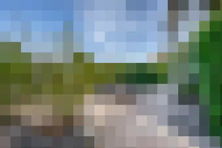 Kreeklaan 5 Middelharnis thumbnail 29