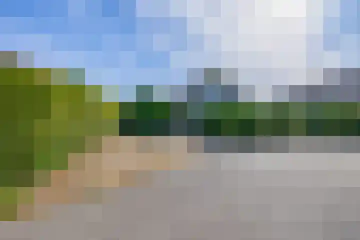 Kreeklaan 5 Middelharnis thumbnail 34