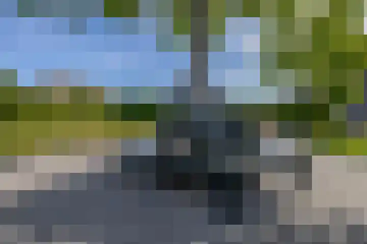Kreeklaan 5 Middelharnis thumbnail 35