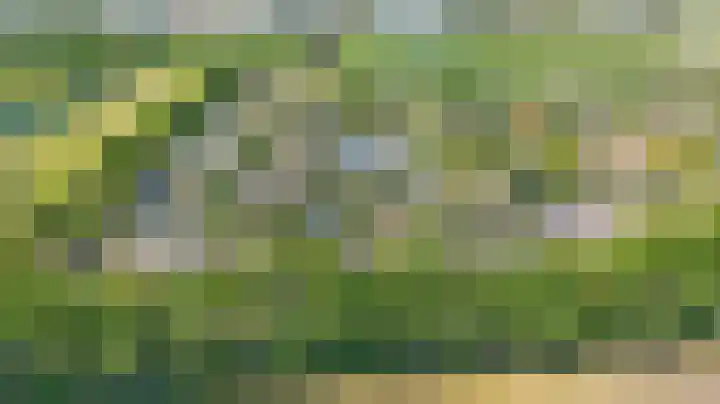 Kreeklaan 5 Middelharnis thumbnail 38