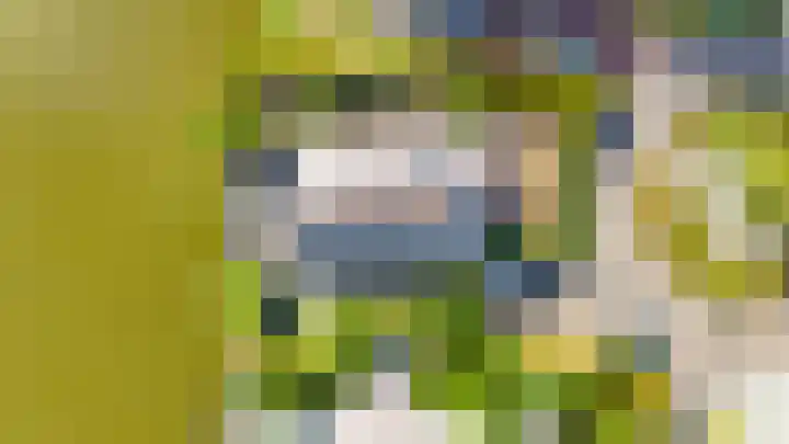 Kreeklaan 5 Middelharnis thumbnail 39