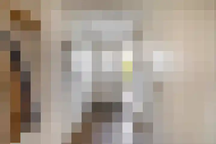 Kreeklaan 5 Middelharnis thumbnail 4