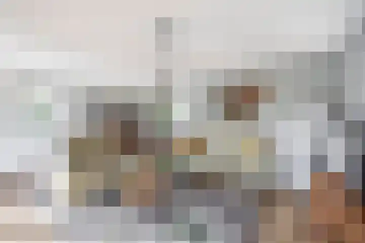 Kreeklaan 5 Middelharnis thumbnail 6