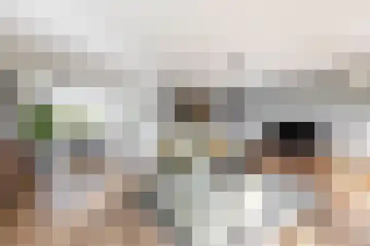 Kreeklaan 5 Middelharnis thumbnail 7