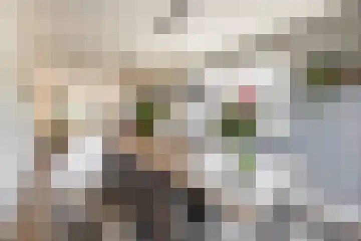 Kreeklaan 5 Middelharnis thumbnail 8