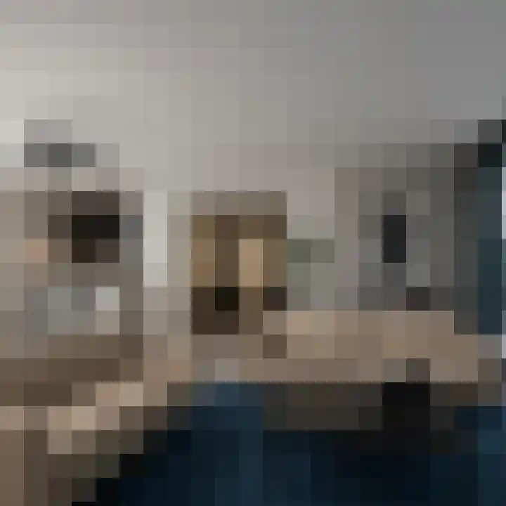 Kreeklaan 6 's-Gravenzande thumbnail 10