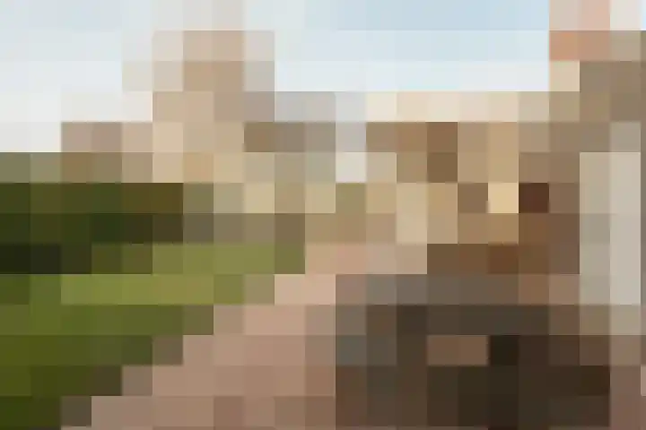 Kreeklaan 6 's-Gravenzande thumbnail 19