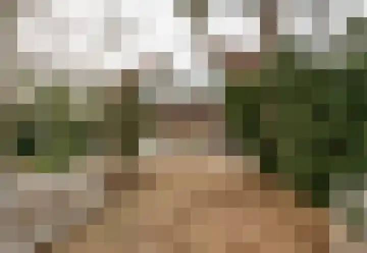 Kreeklaan 6 's-Gravenzande thumbnail 32