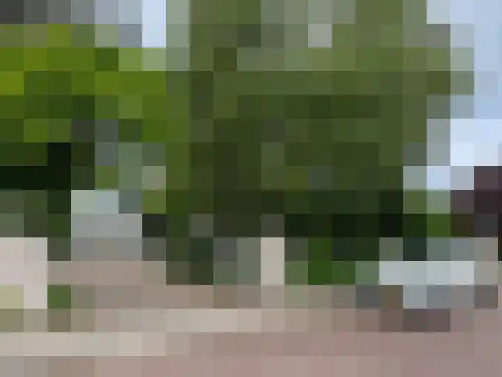 Kreeklaan 6 's-Gravenzande thumbnail 34
